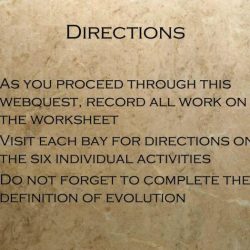 Evidence for evolution webquest answer key