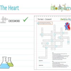 Places in the heart crossword