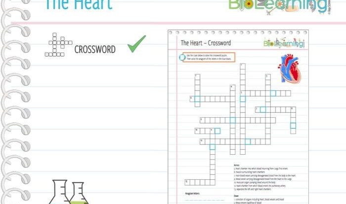 Places in the heart crossword