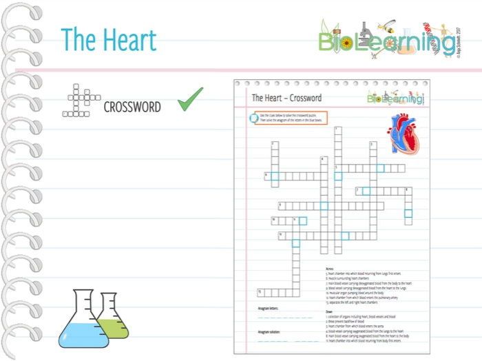 Places in the heart crossword