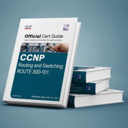 Ccnp route 300 101 pdf dumps