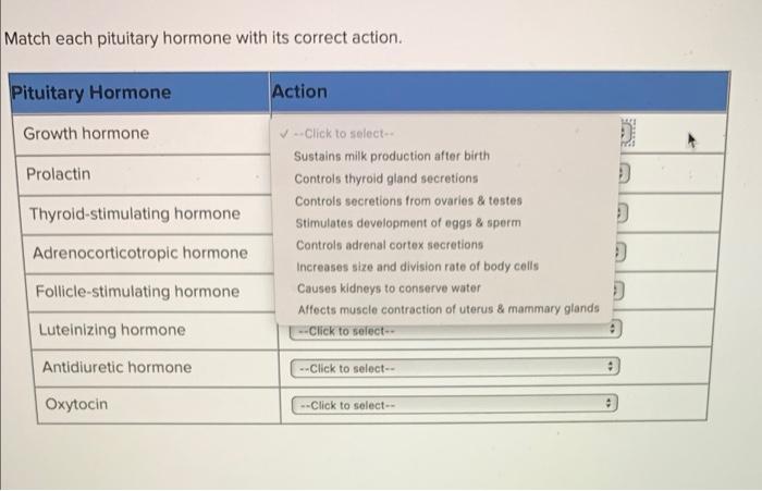 Match each pituitary hormone with its correct action.